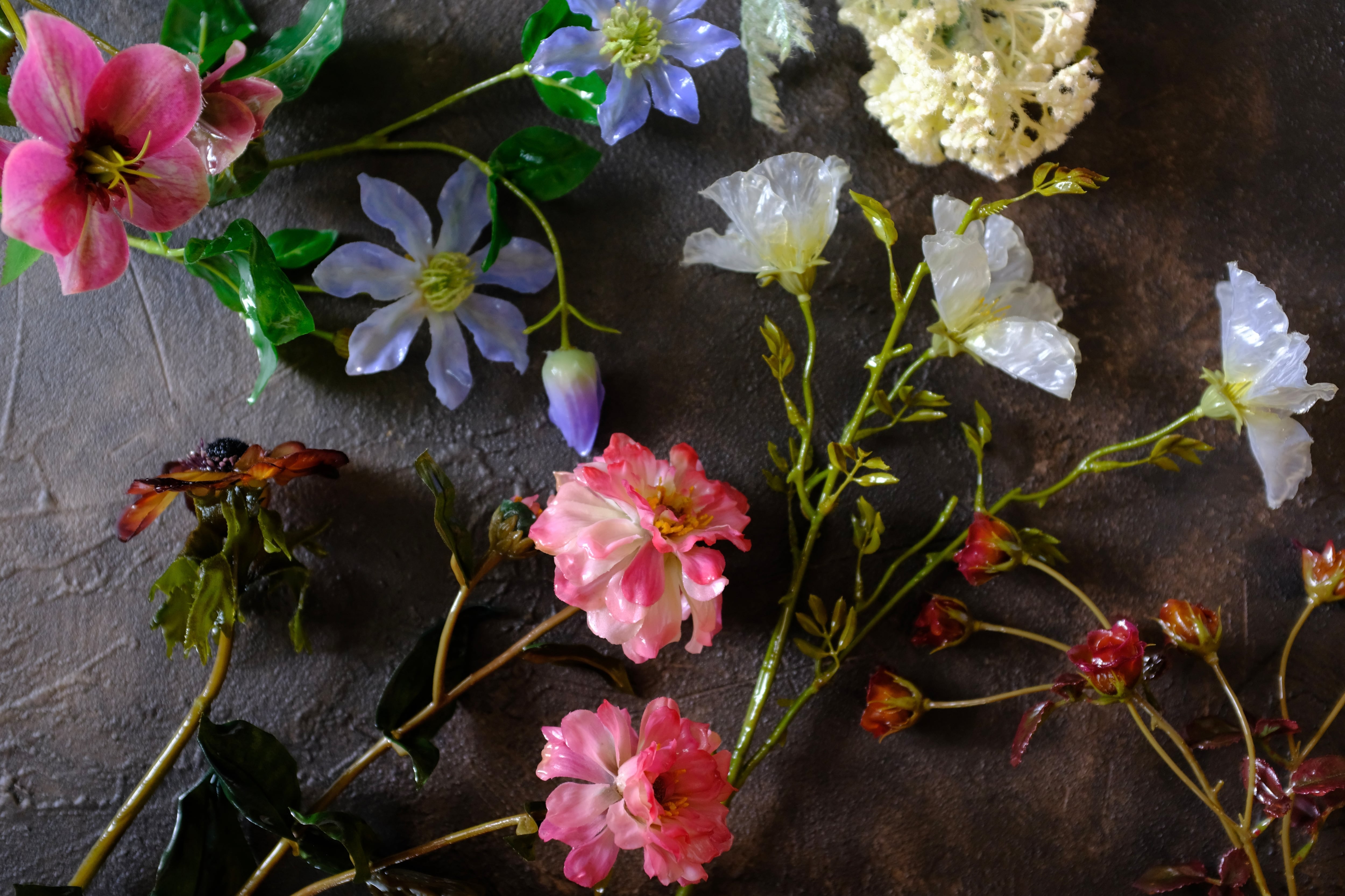 tsuyabana クレマチス ブルー | KieKa