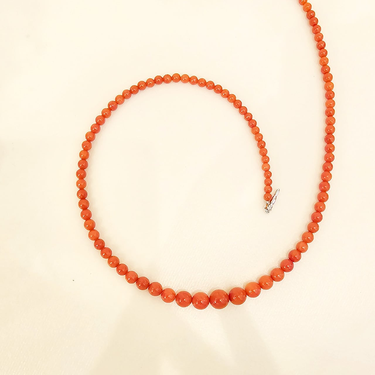 期間限定価格　高級天然皿赤珊瑚ネックレス 期間限定価格 高級天然皿赤珊瑚ネックレス 特価品】赤珊瑚