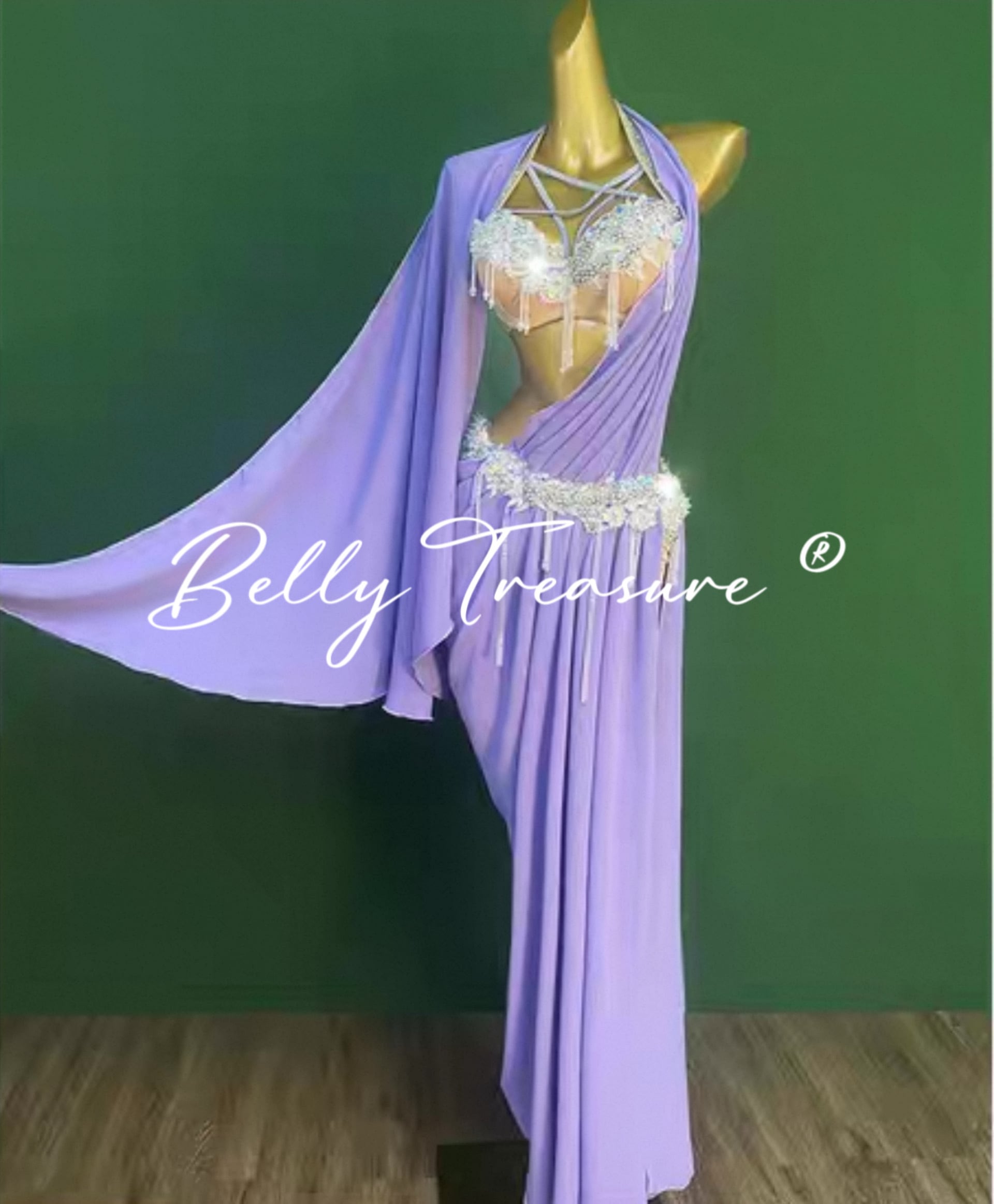 ベリーダンス衣装 WZY 182 202507 | Belly Treasure®︎
