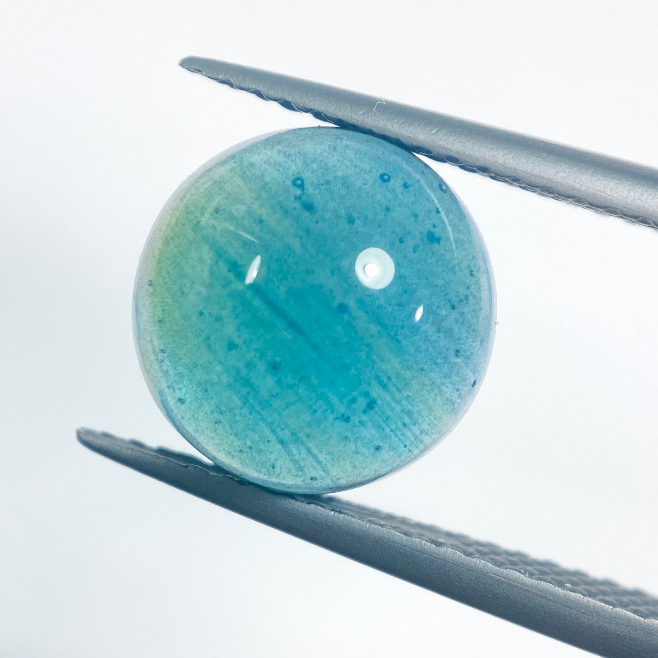 人と地球のコラボアート スウェディッシュブルー 1