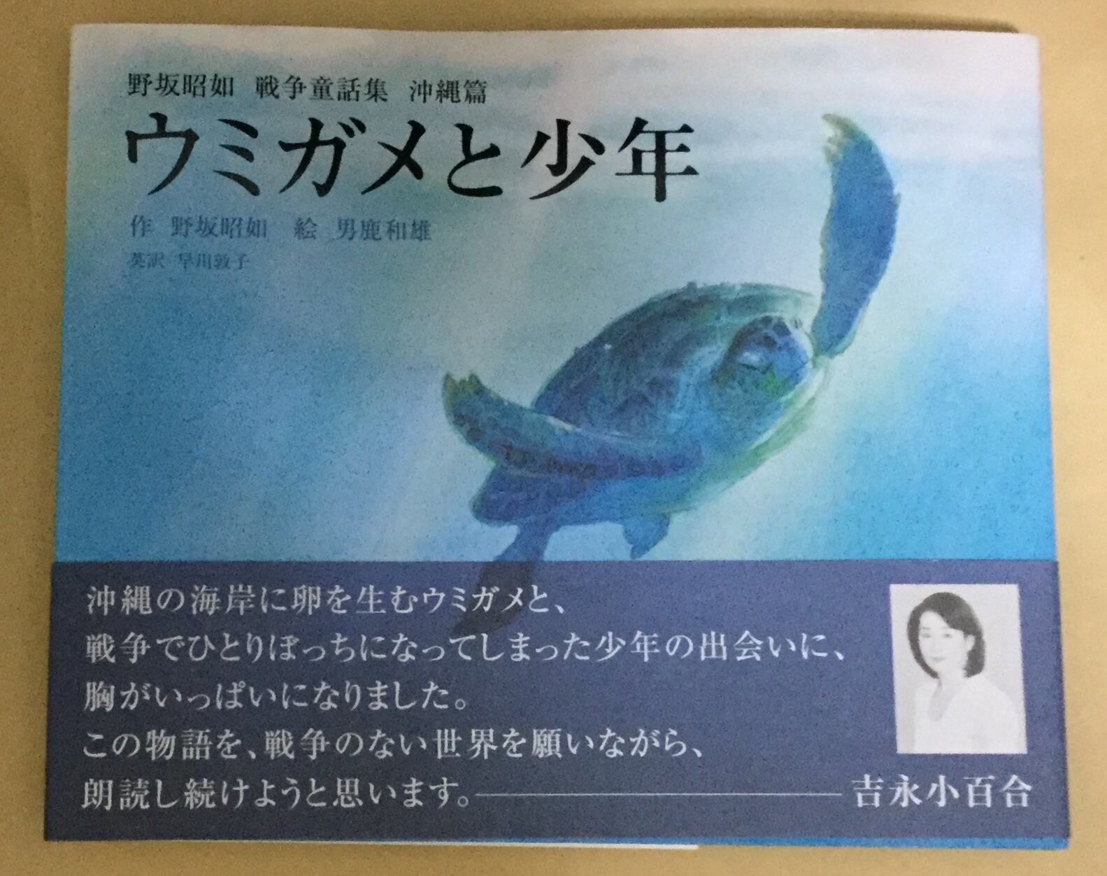 ウミガメと少年 野坂昭如 戦争童話集 沖縄篇 絵本 雲龍