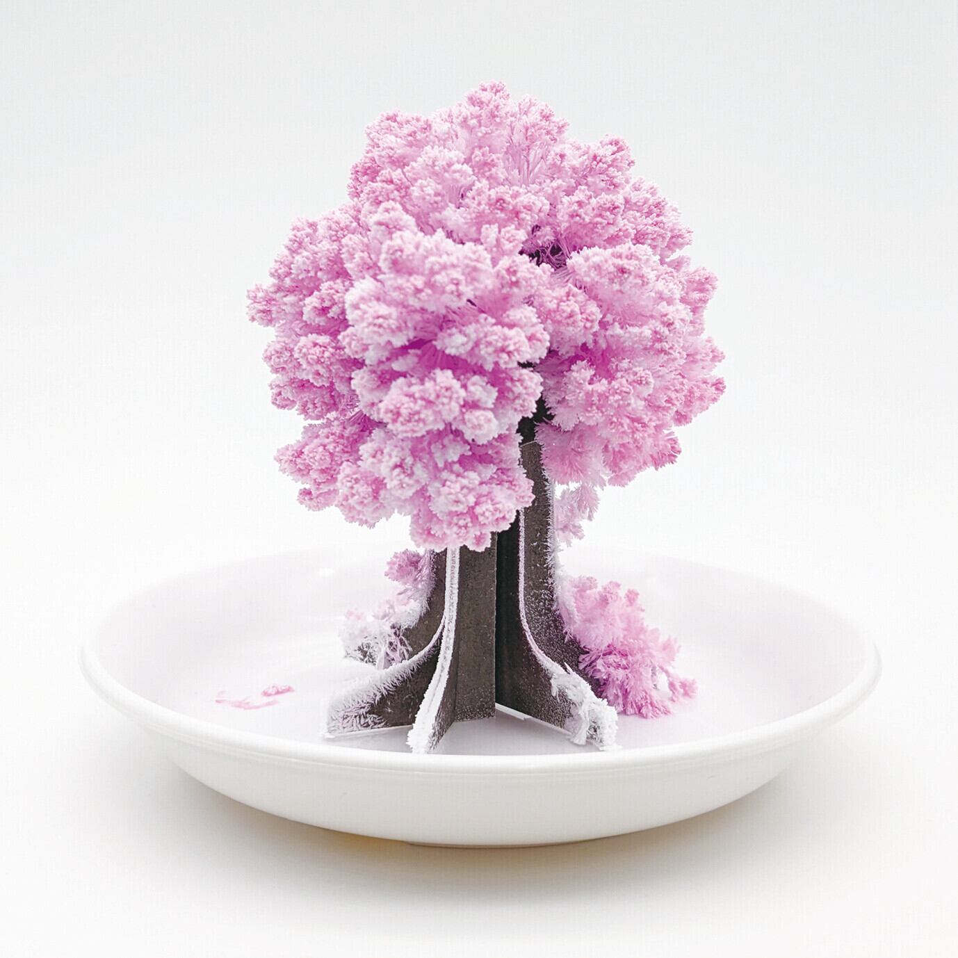 日本製】桜の都｜Fun Science 桜が咲く不思議なインテリア｜卓上