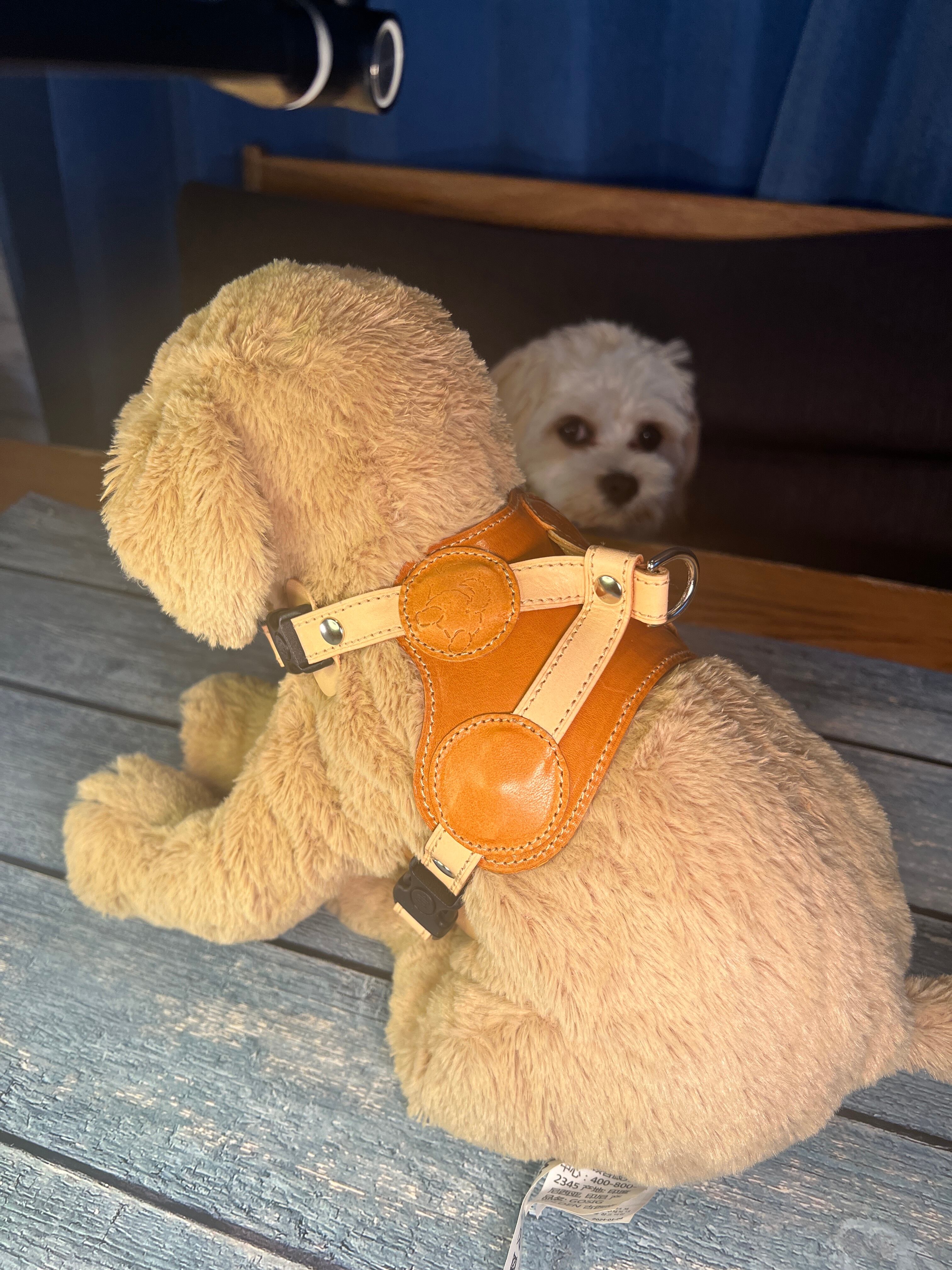 希少 パラライザー ピッグレザースウェード ネイティブ柄刺繍ベスト くるみボタン 希少 パラライザー ピッグレザースウェード ネイティブ柄刺繍ベスト