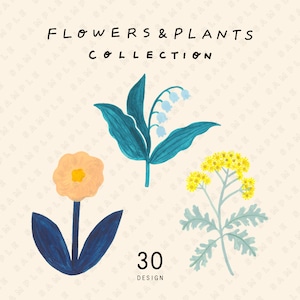 花と植物の素材集 FLOWERS ＆ PLANTS COLLECTION