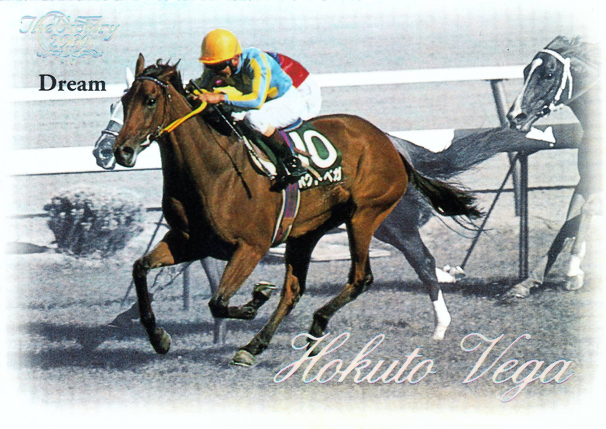 ザ・ビクトリー2000 BOX 1箱 競馬トレーディングカード the victory