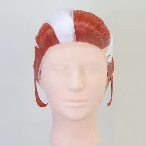 コスプレ耐熱ウィッグ コスプレ耐熱ウィッグ オーダー キャラクター造形ウィッグ オレンジ ホワイト 結い上げ 前髪貼り付け ウィッグ ★ポケモンZA/グリ 等 ★受注品★