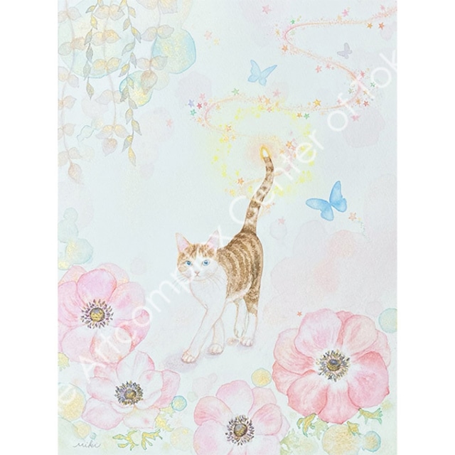 キジシマ ミキ「Candle Tail」