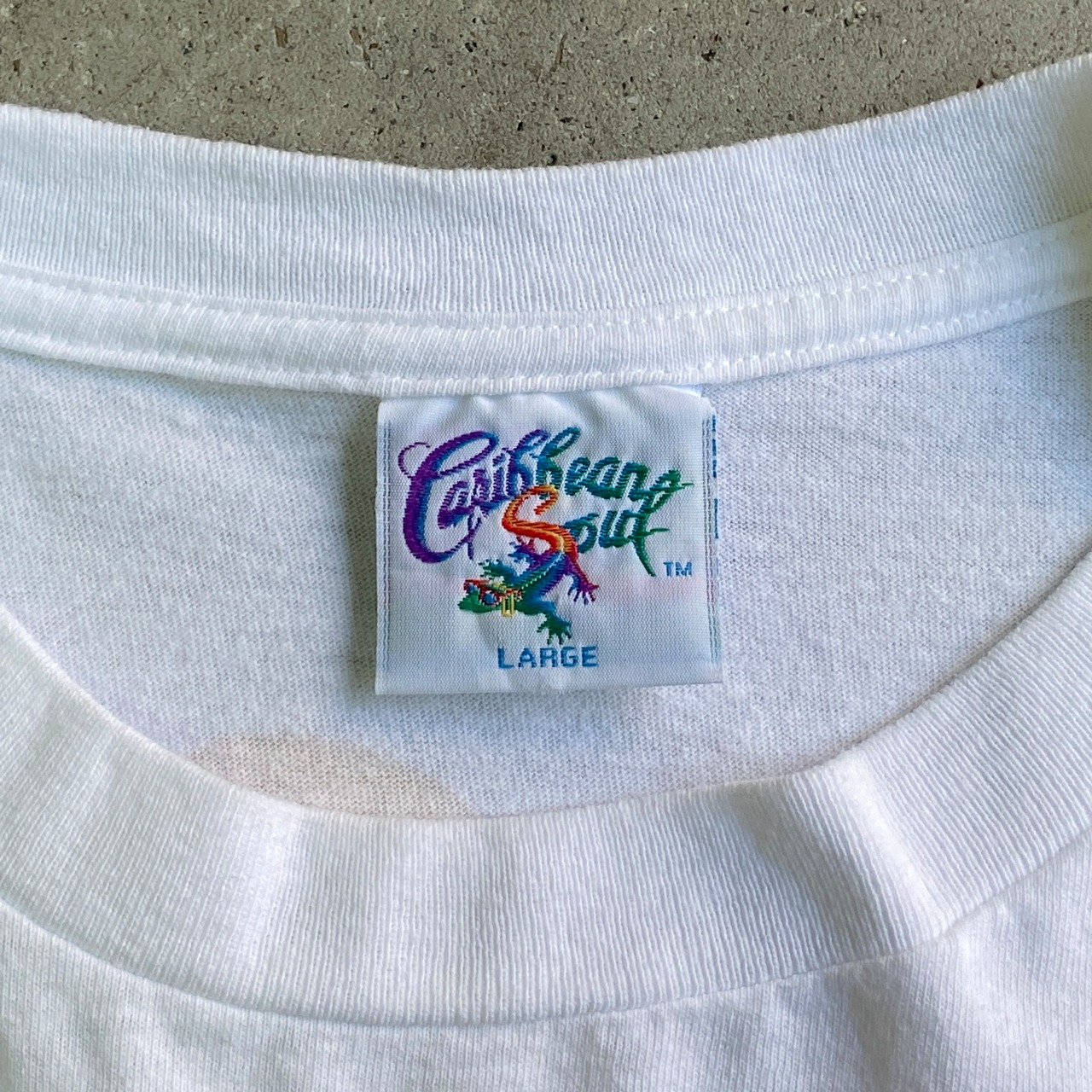 90年代 USA製 Caribbean Soul トカゲ バックプリントTシャツ メンズXL 