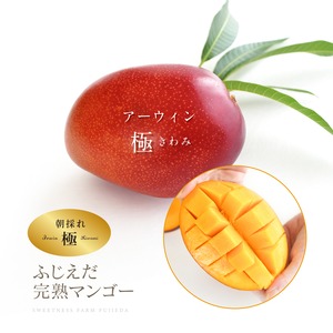 2026初物！【アーウィン 極】朝採れ超極玉　※先行予約用