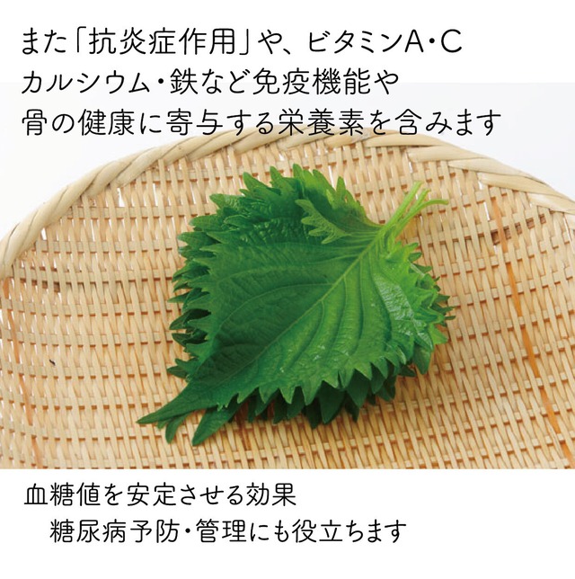 紫蘇レンコン餃子 18個入 自家製みそダレ付き