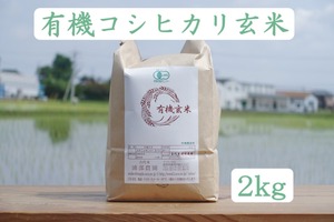 【2026年産】新米予約【2kg】有機こしひかり玄米