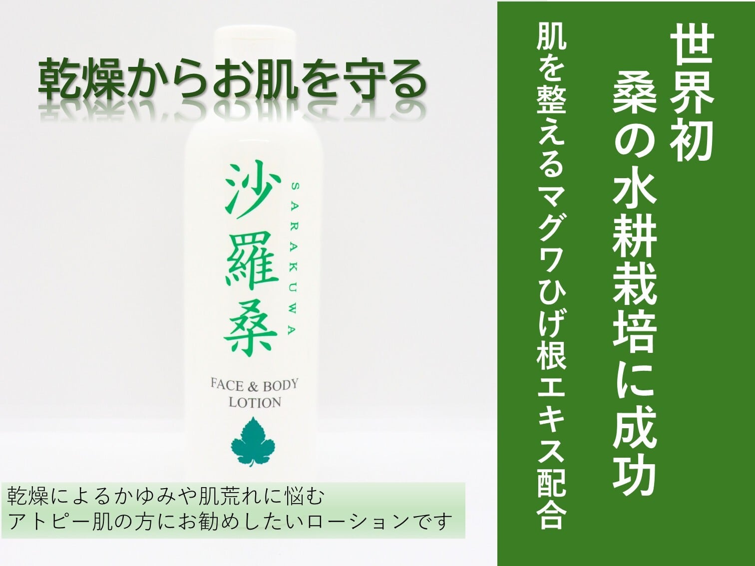 Sarakuwa　フェイス＆ボディローション