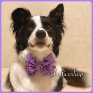 【purple】ボリュームたっぷりリボンチョーカー