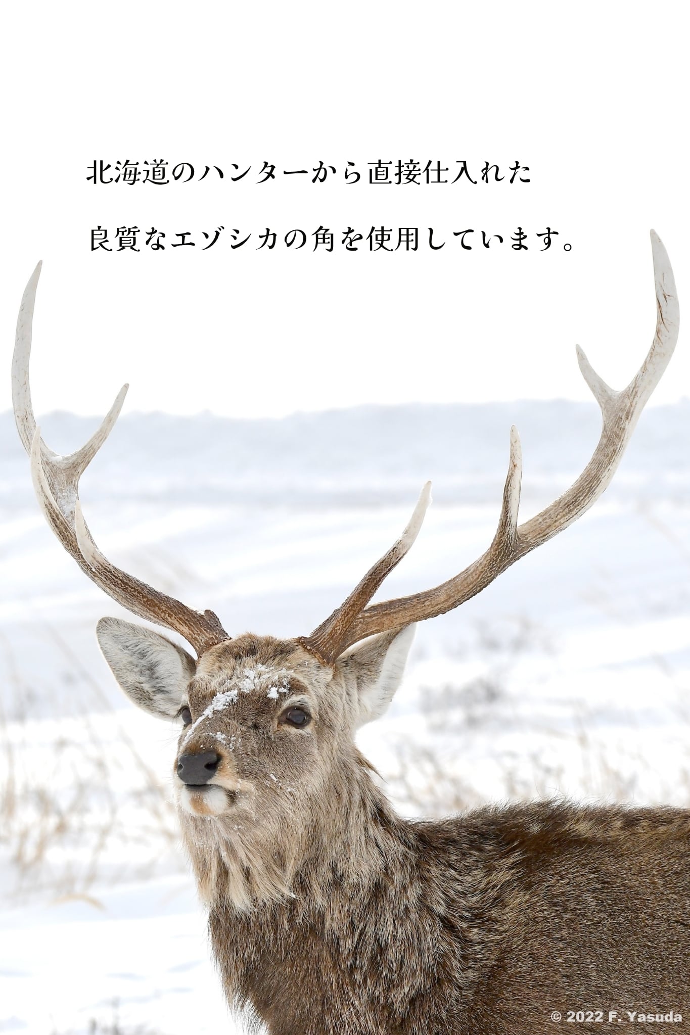 エゾシカの角を使用したブレスレット | 獣骨と俺 BONE&WOOD RESIN