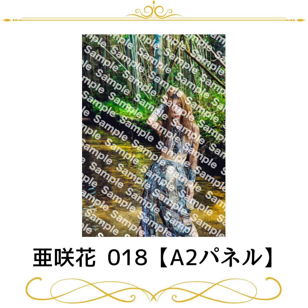 長瀬麻美、A3版写真パネル9 | Pay ID