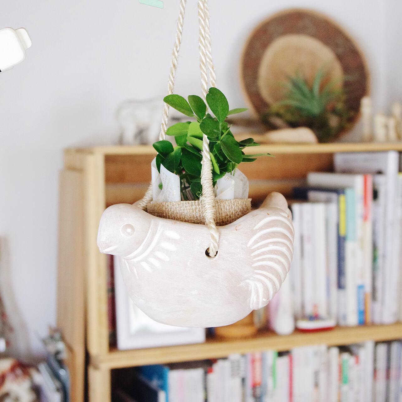 Bird hanging terra cotta pot