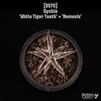 【送料無料】Dyckia 'White Tiger Tooth' × 'Nemesis'〔ディッキア〕現品発送D570