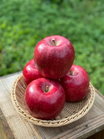 葉取らずコスモふじ贈答用　3kg