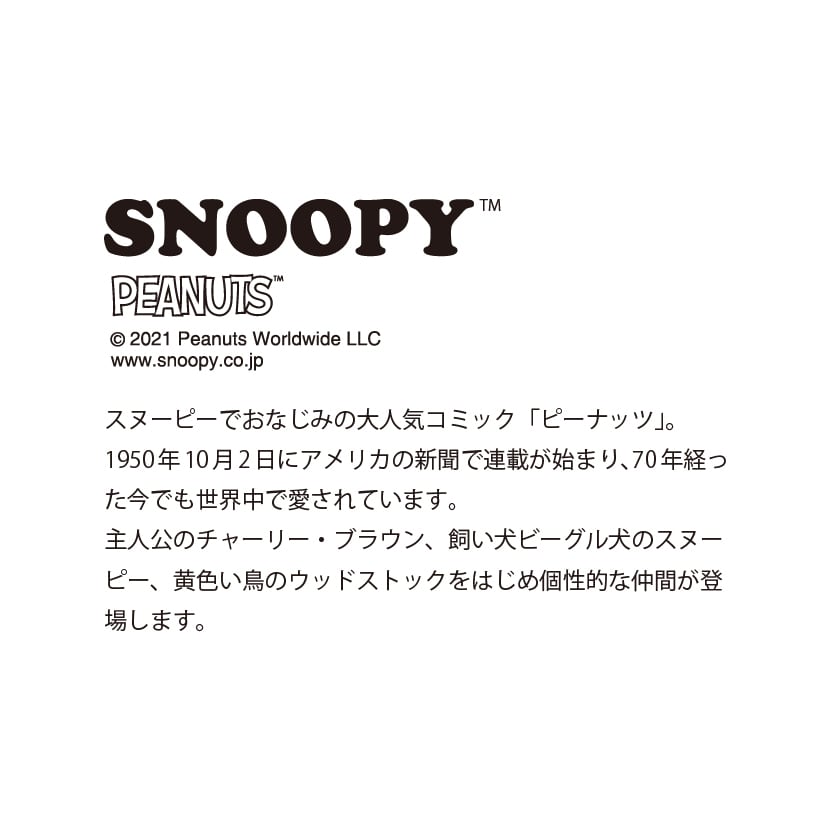 スヌーピー】豆皿(山水)【九谷焼】【SN360】 | yamaka official shop