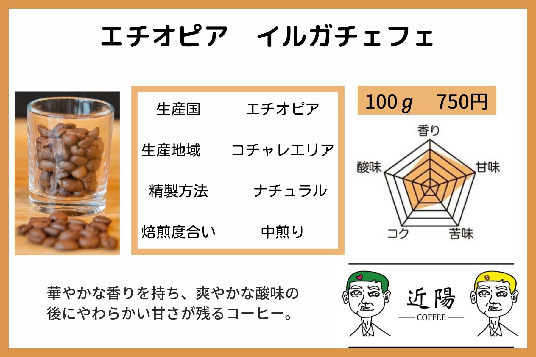 中浅煎り】エチオピア イルガチェフェ コチャレ ナチュラルG1（150g