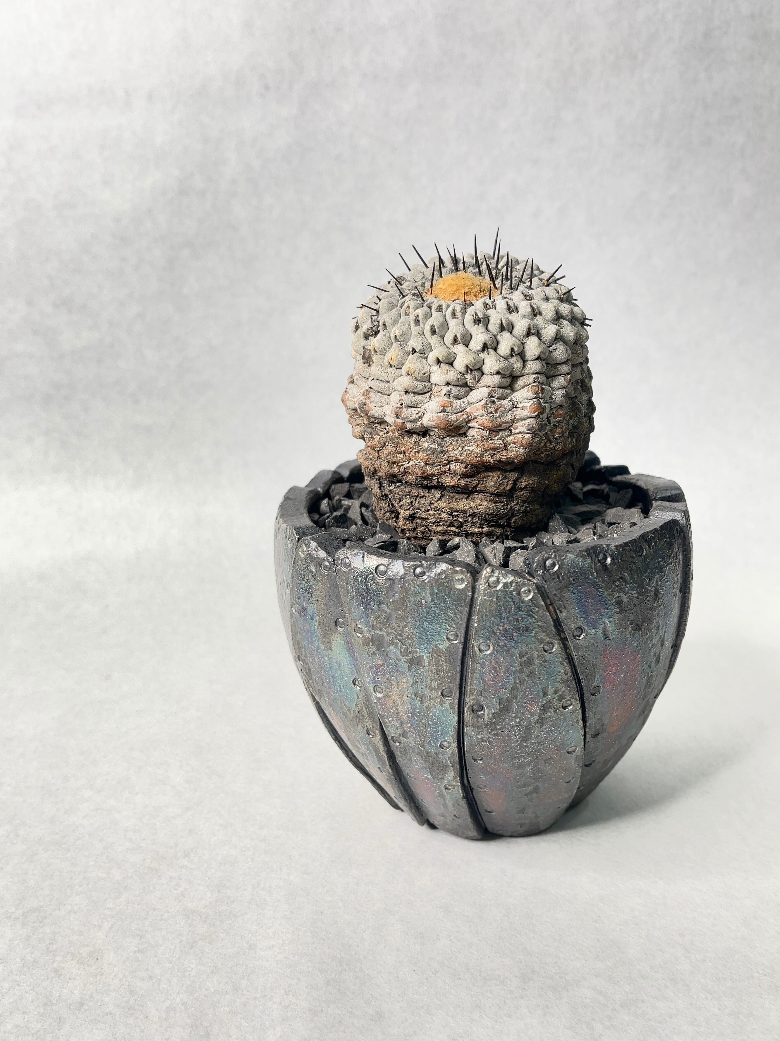 b8926f3d2e2e8f9c19fbaed6925de6