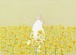 菜の花とうさぎ
