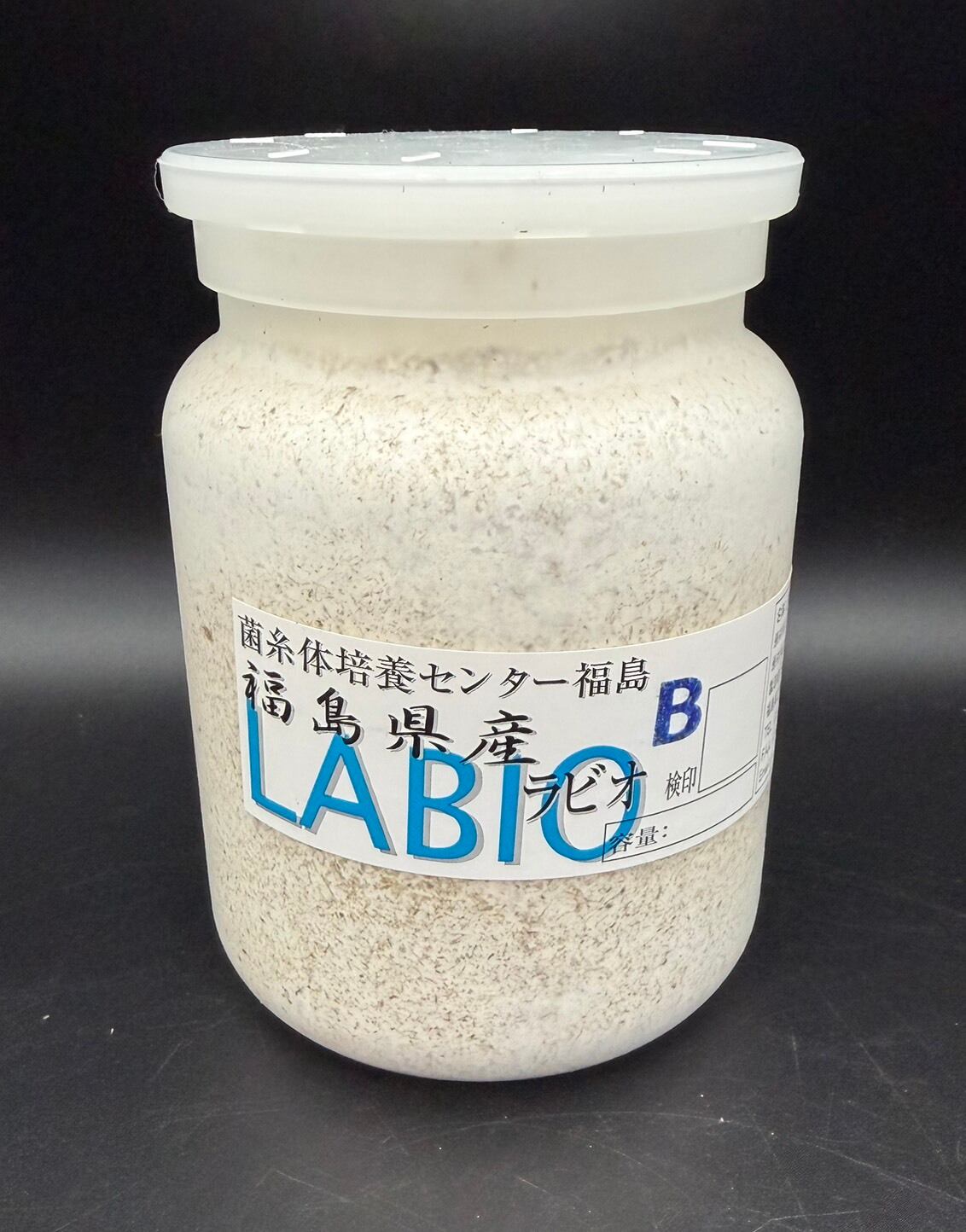 オオヒラタケ菌糸・ヒラタケ菌糸 | KPW公式オンラインショップ