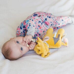 Lion Activity Toy with Natural Rubber Teether_97002