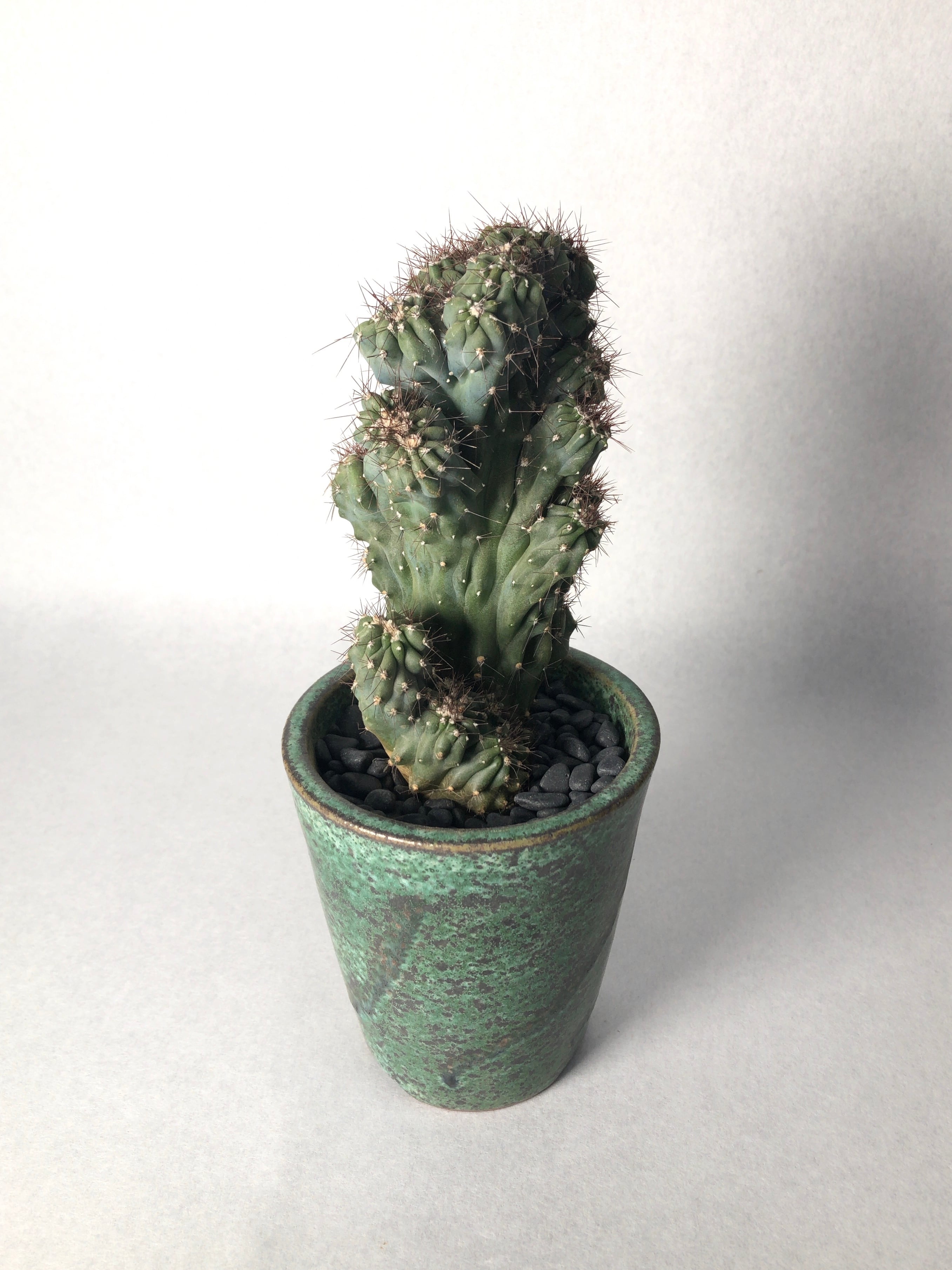 b8a375b93a90666acf65a93e4889f9