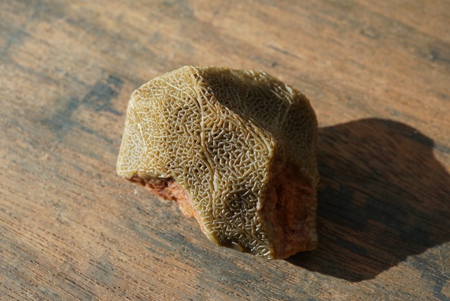 ゴビアゲート Gobi Agate 1095