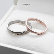 #mouvS201011