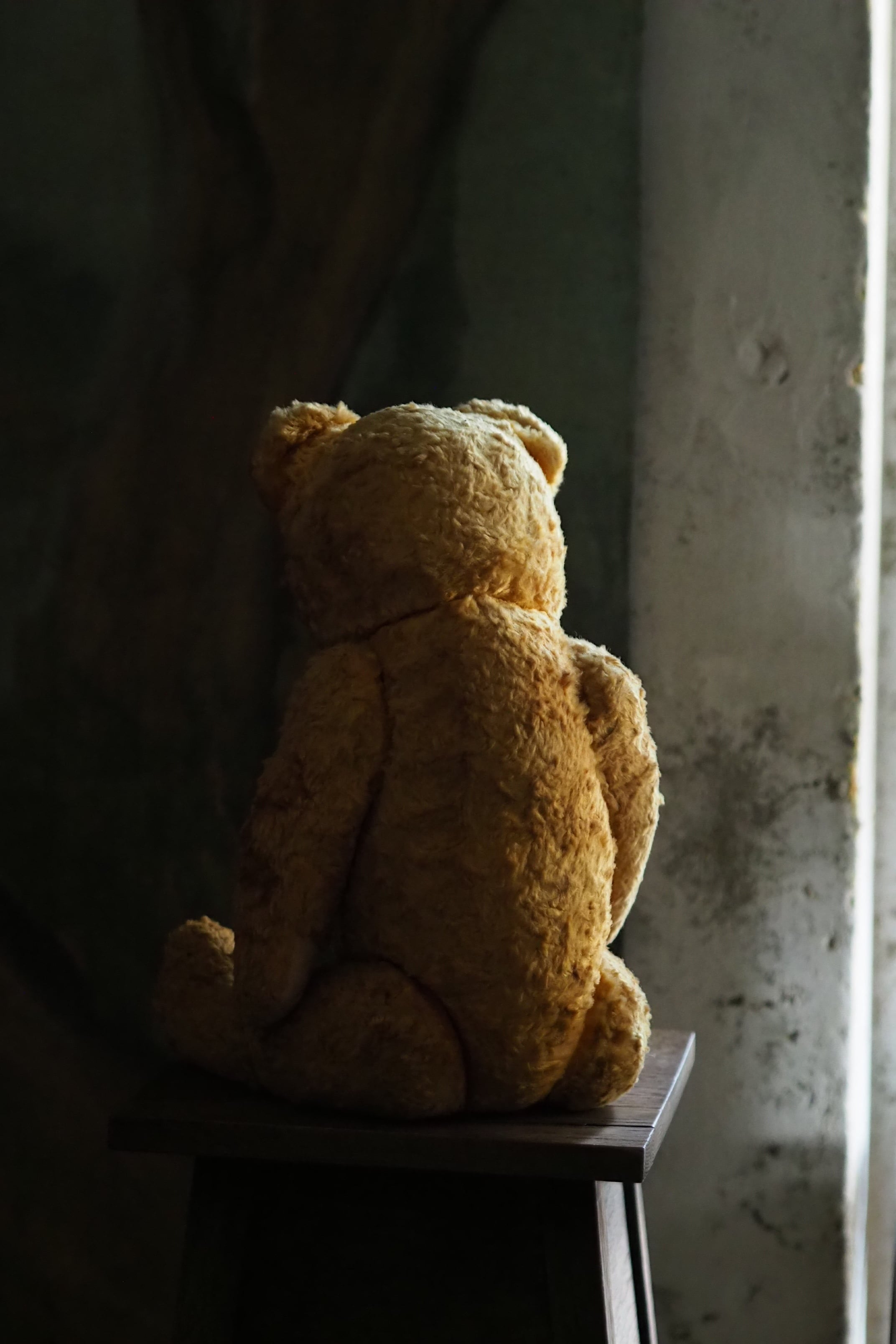 お腹ぽんぽこりんクマさん-vintage teddy bear | アンティーク