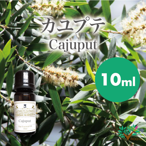 精油　カユプテ10ml【英国直輸入】