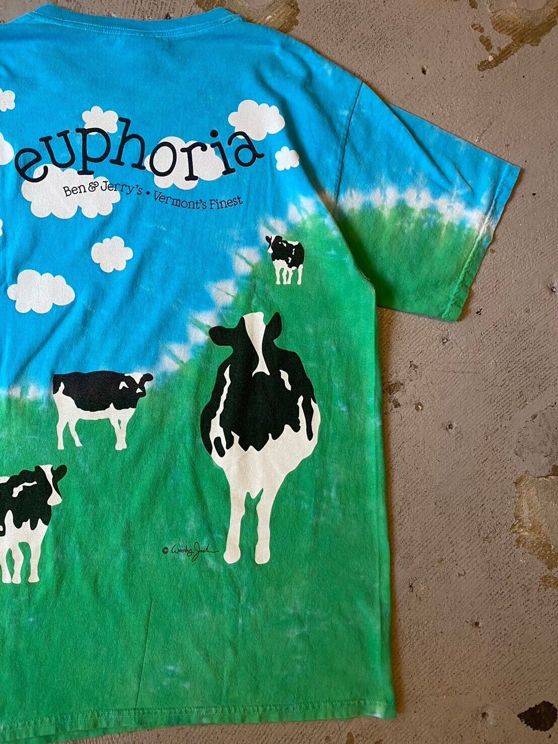 vintage 00's〜 BEN&JERRY'S T-SHIRT | vintage clothing twoface