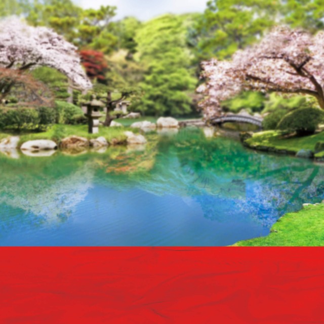 桜咲く日本庭園