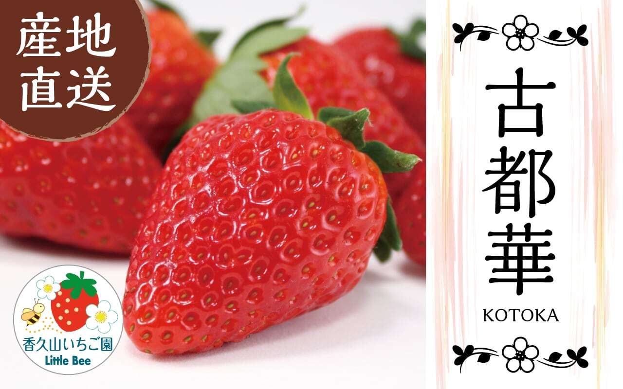 季節限定】農園直送 古都華いちご（2パック1ケース） | 香久山いちご園