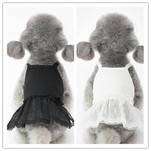 【予約】№3102031 ワントーンレースチュチュワンピース