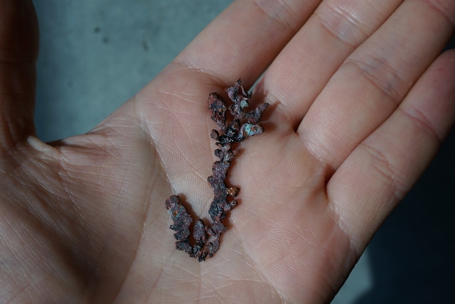 カザフスタン産自然銅  Native Copper 1890