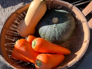 [冬の贈り物]旬の栗かぼちゃ&バターナッツ、アロマレッド人参の詰め合わせ