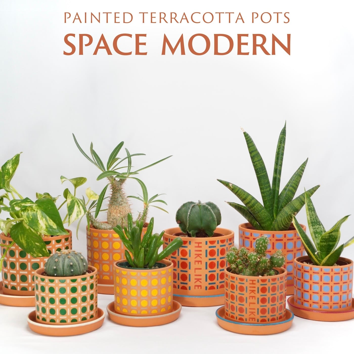 SPACE MODERN(S)※受注生産