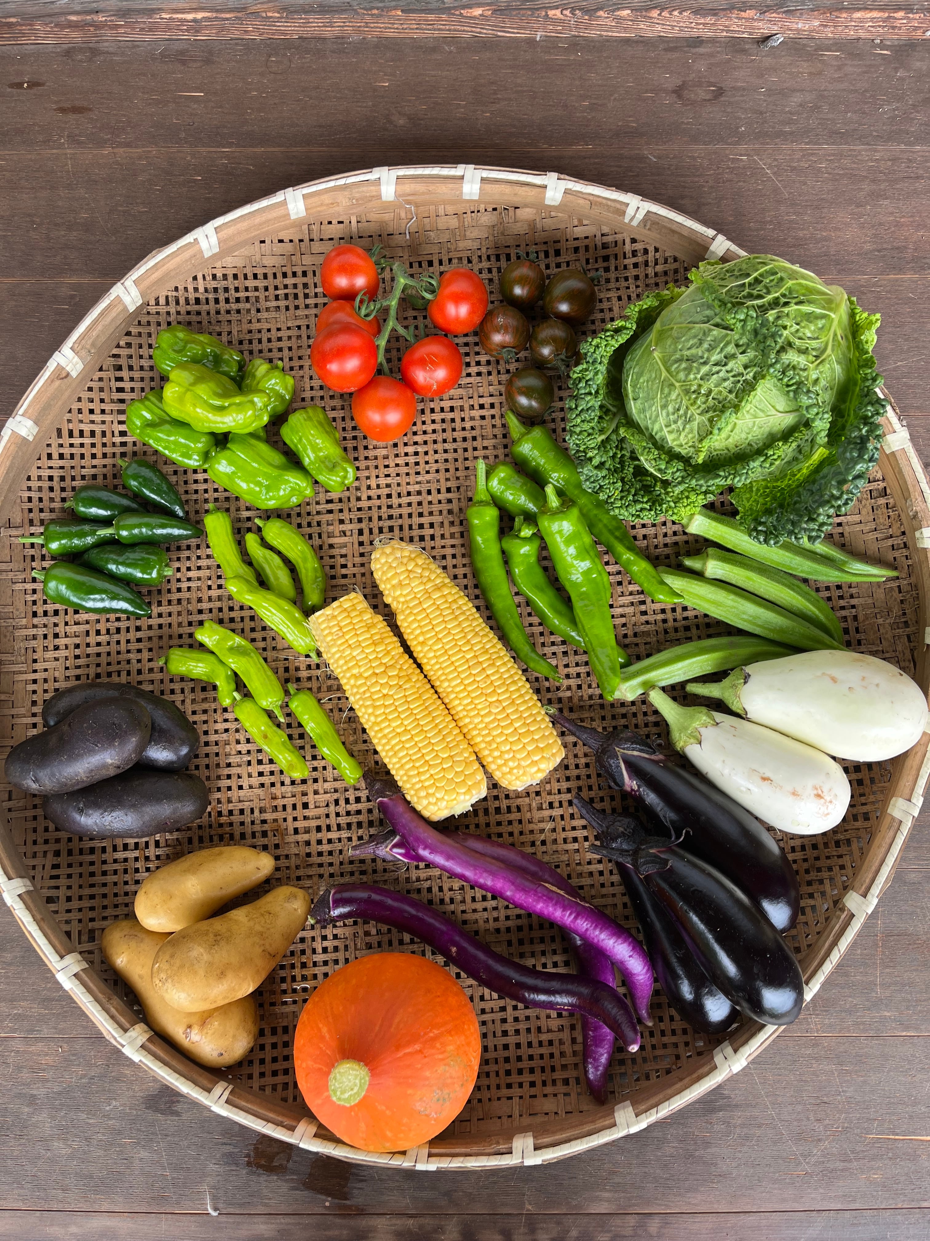 お野菜セット 楽天市場】【8/1限定!最大半額＆最大ポイント20倍】有機野菜