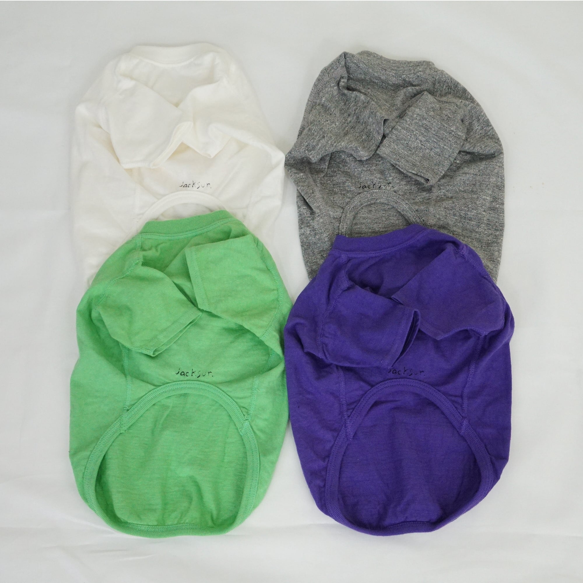 JACKSON MATISSE! S/S Tee | JACKSON MATISSE PETS