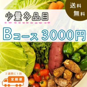 定期便：2週間に1回のお届け 無農薬 季節の野菜3000円【Bコース】