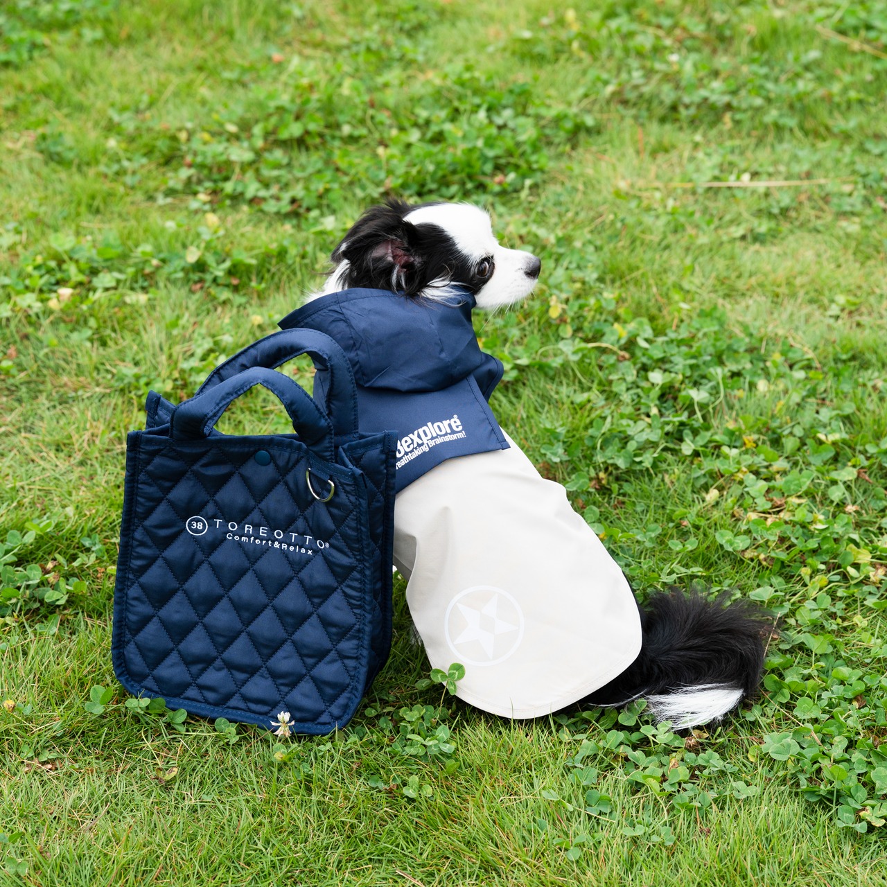 38DOG RAINCORT / NAVY