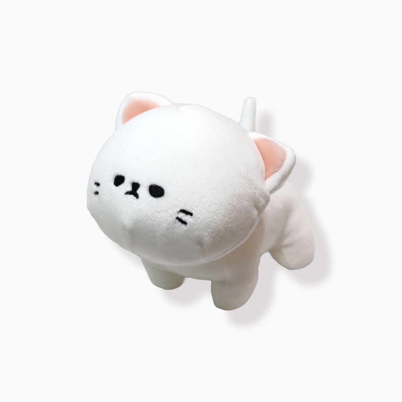 新作♡ビションフリーゼ『ri2015』『まろん＆クレア』コラボ商品 新作♡ビションフリーゼ『ri2015』『まろん＆クレア』コラボ商品