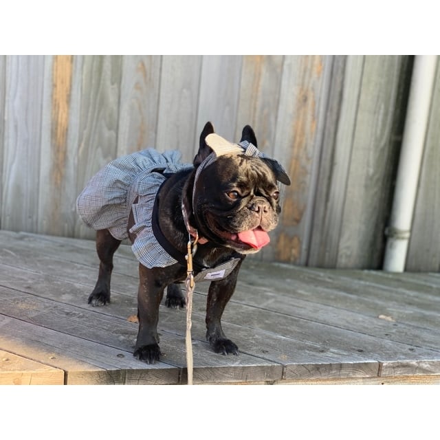 ꒰CHIP CLIP꒱背中リボン ひまわり総柄 ワンピース白黒ギンガム  