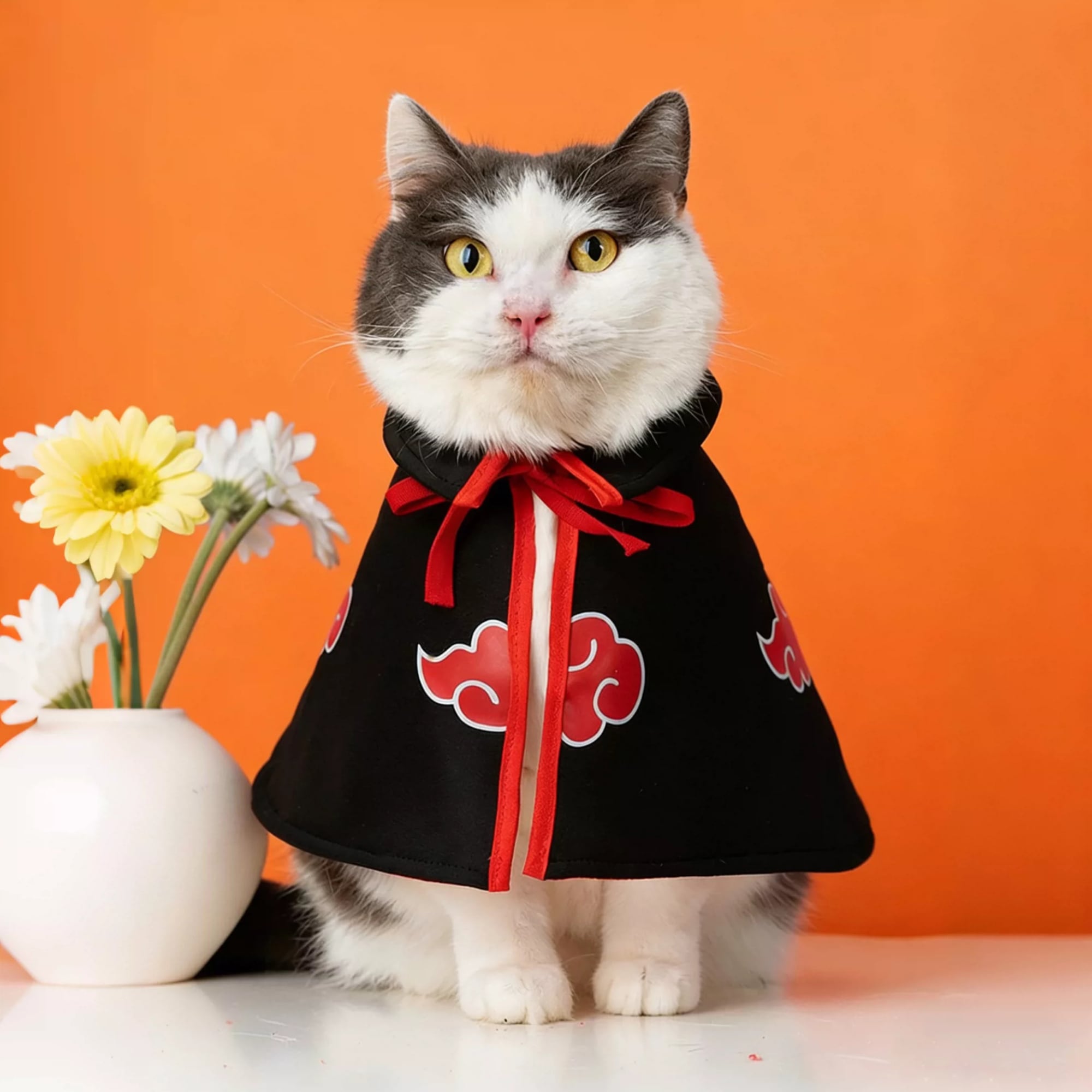 ペット用 コスプレ衣装 コスプレアイテム 猫服 犬服 NARUTO 向き 暁