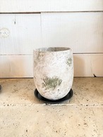 セメント鉢＆アイアン皿（トール）　※Φ16（口径Φ14）×高さ19ｃｍ　５号鉢サイズ