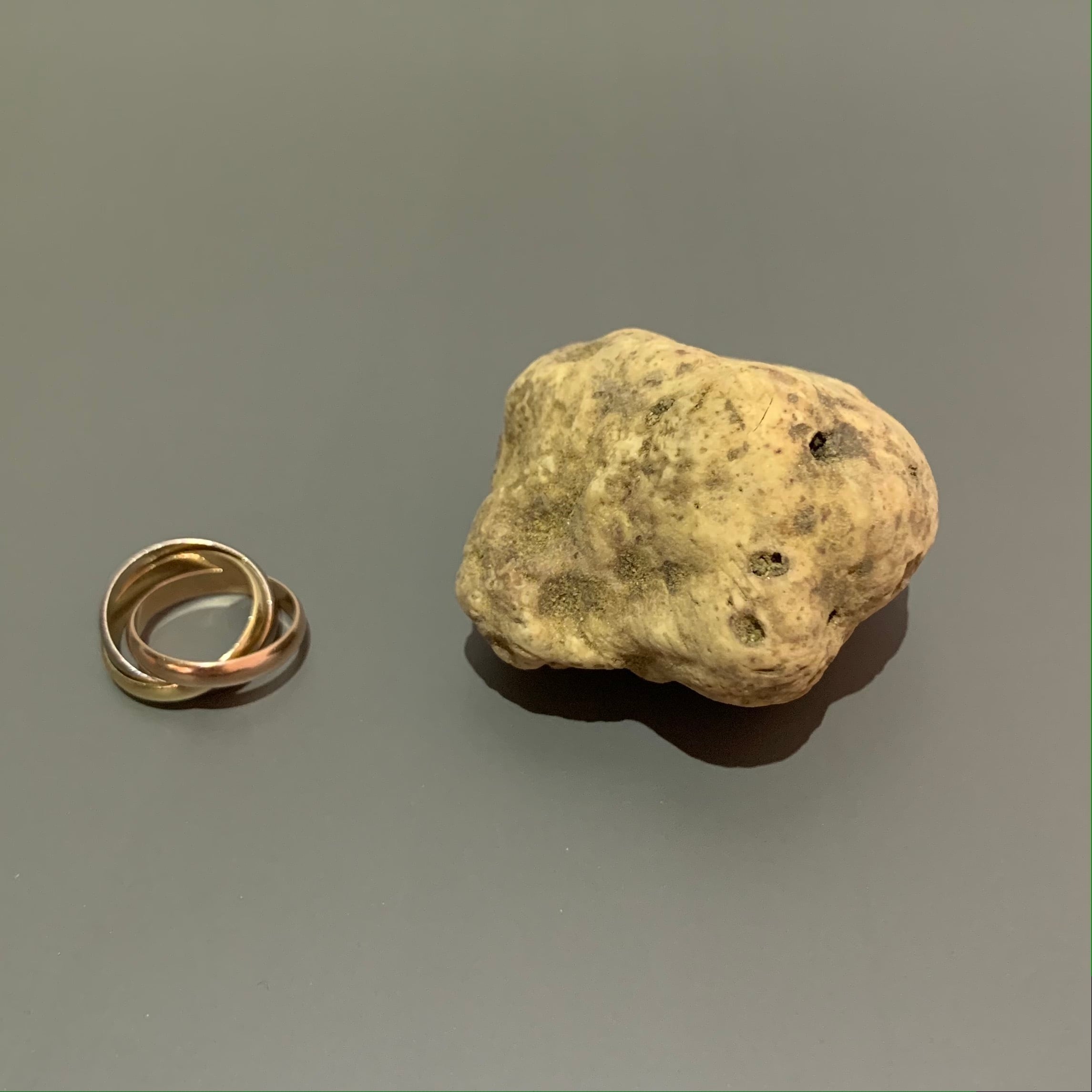 Bellissima】41～50gの粒・白トリュフ | FRESH TRUFFLE JAPAN