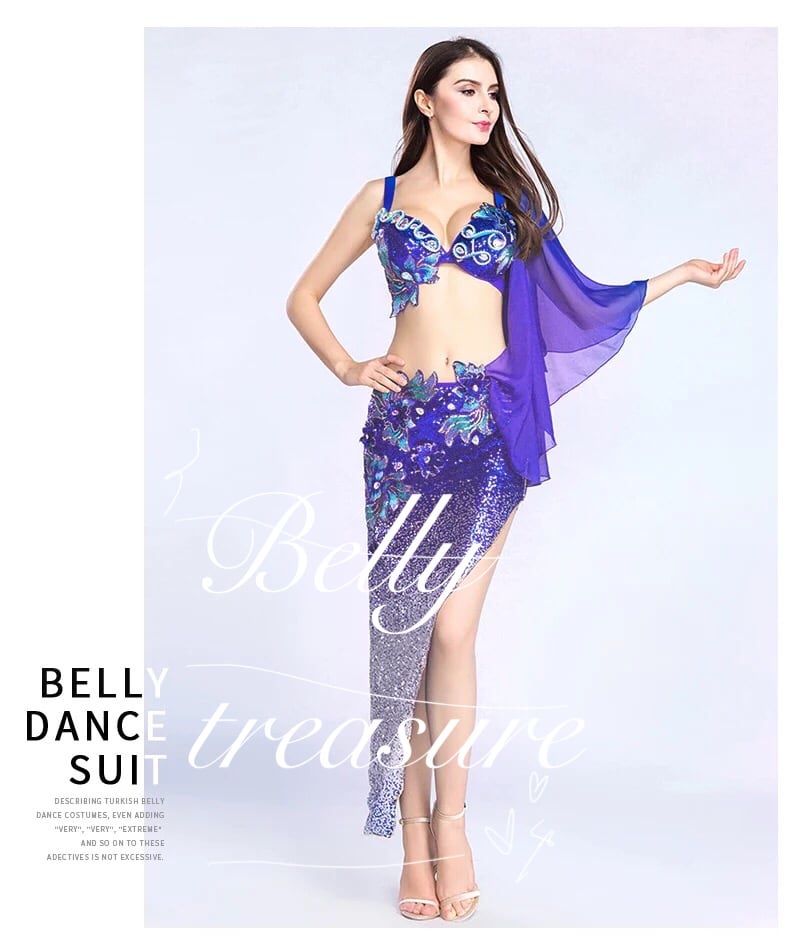 2色から選べるベリーダンス衣装 HJ8804 | Belly Treasure®︎